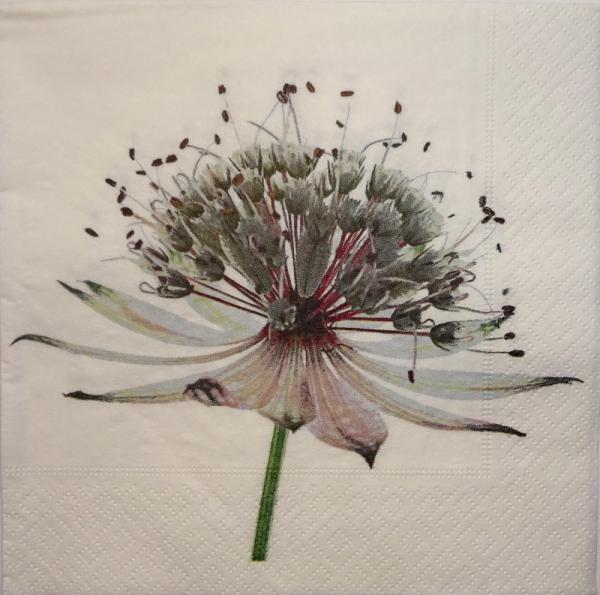 114 Flowers Others - 3 ply (114)